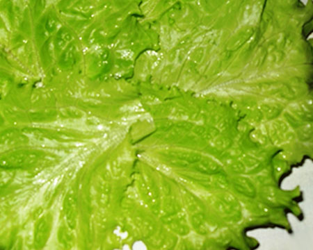 выстлать блюдо листьями салата